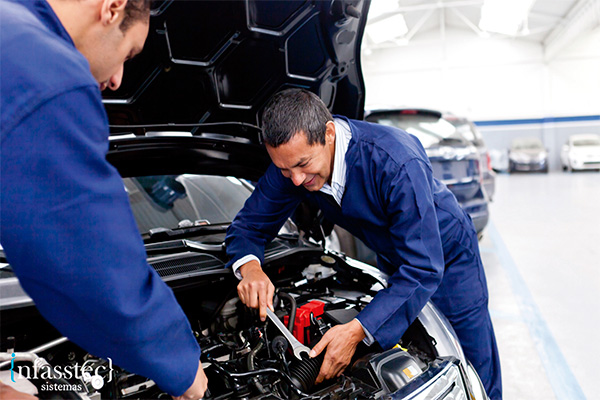 Prestador de Serviço